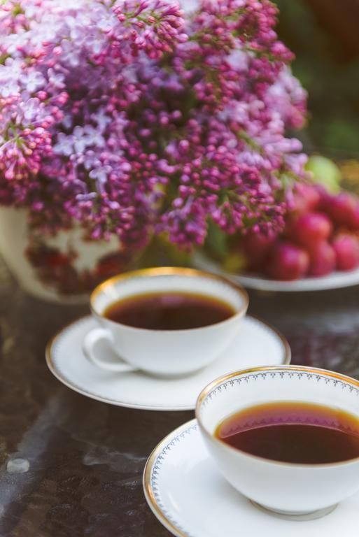 The Secret Garden Boutique B&B Βίλνιους Εξωτερικό φωτογραφία